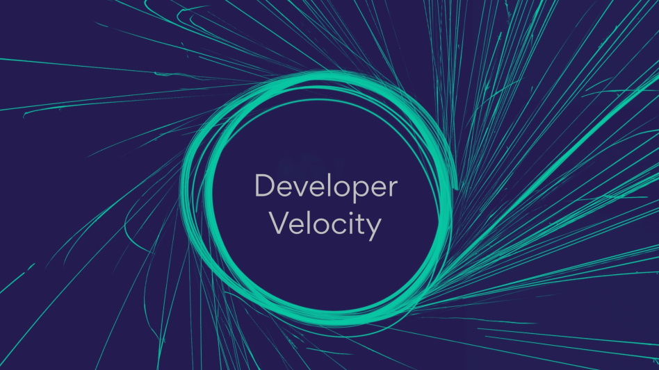 Hire Velocity Developer